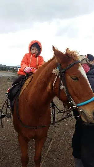 섭지코지하우스