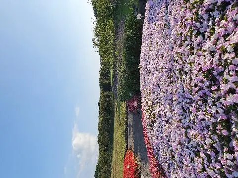 8월에 가족들과 함께갔던 에코랜드~
역마다 특색있고 잘 가꿔져 있어 동화속 같아서 내내 즐거웠어요!
핑크톤의 정원이 너무 아름다웠습니당♥