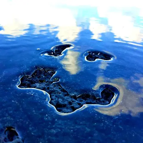 제주올레 14코스 리뷰사진3