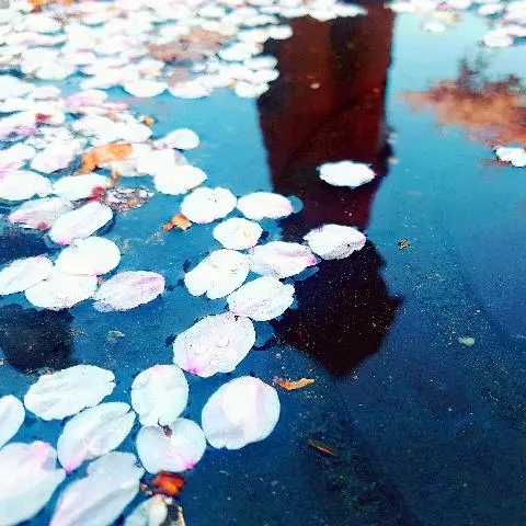 제주올레 14코스