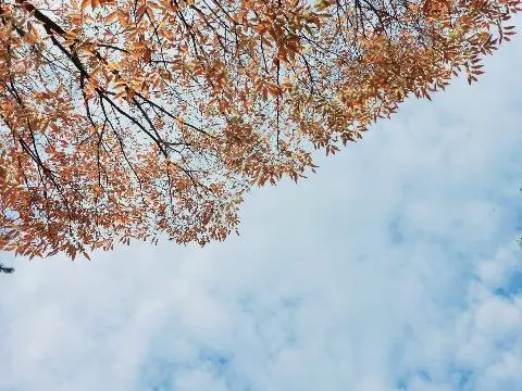 저지 예술인 마을