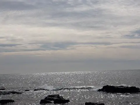 미등록 리뷰사진2