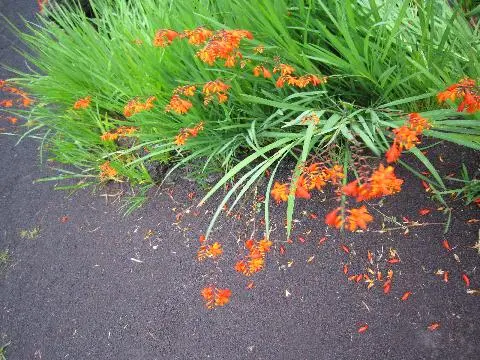 김영갑갤러리 두모악