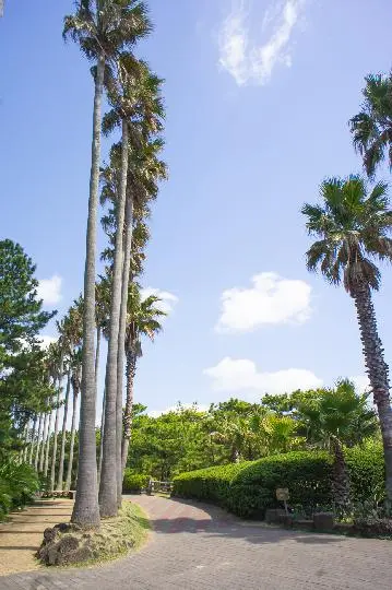 한림공원 리뷰사진2