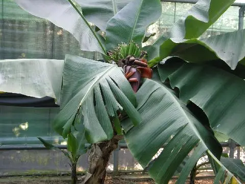 협재굴(한림공원)