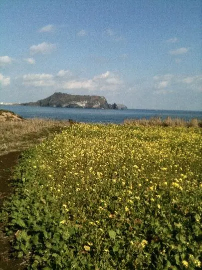 성산일출봉(UNESCO 세계자연유산)