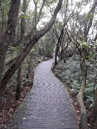 제주곶자왈도립공원