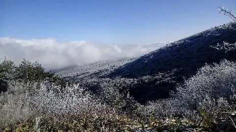 백록담 리뷰사진4