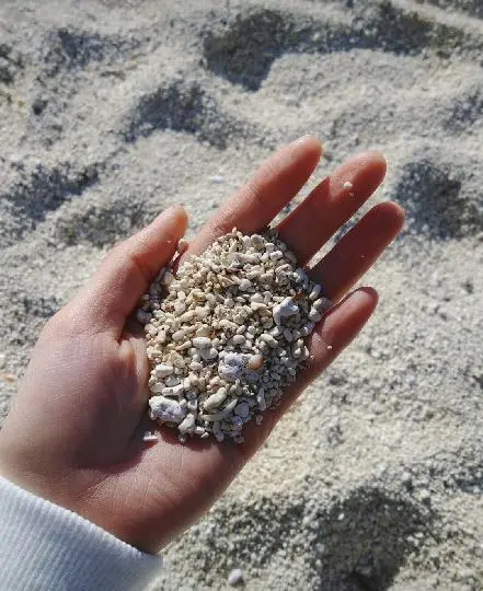 우도산호해변 홍조단괴 서빈백사