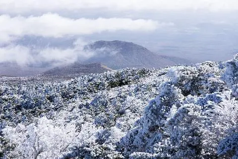 Top 10 Jeju Sites for January <Great Hopes, Great New Days: Amazing Jeju in January> 대표이미지