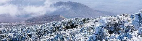 2020년 1월 놓치지 말아야 할 제주 관광 10선 <멋진 새날을 희망하며, 엄블랑한 1월 제주>