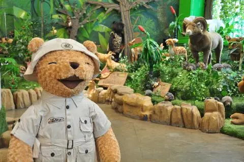 테디베어사파리 테지움