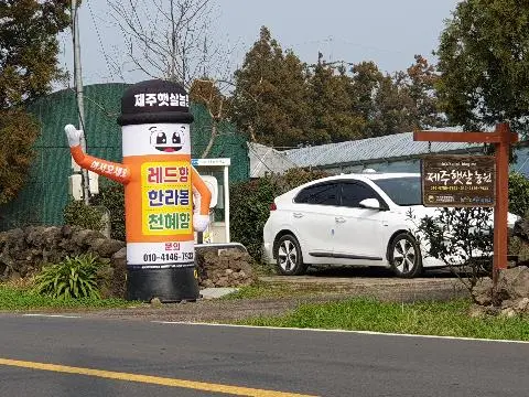 제주햇살농원 사진