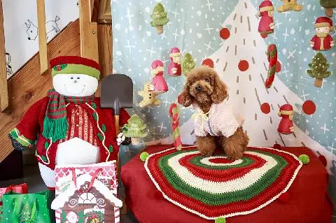 멍멍플레이스 대표이미지