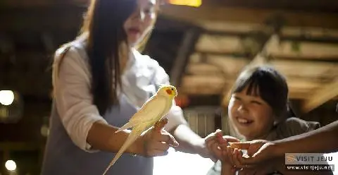 스마일러 카페 대표이미지