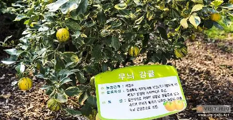 서귀포농업기술센터 제주농업생태원 대표이미지