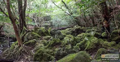 Iseungak (Iseungi Volcanic Cone) 대표이미지