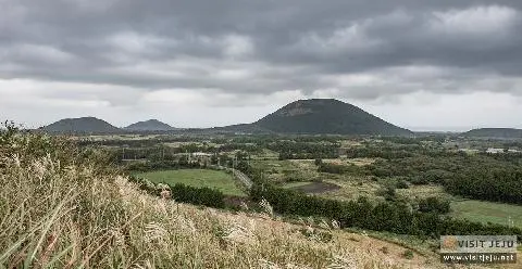 손지오름 대표이미지