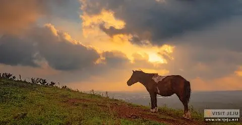 Mundoji Oreum Volcanic Cone (Mundotji ) 대표이미지