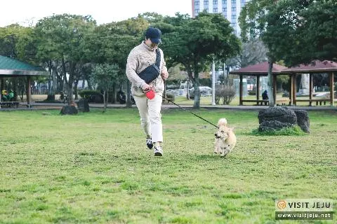 반려동물과 함께하는 지속가능 여행지 대표이미지
