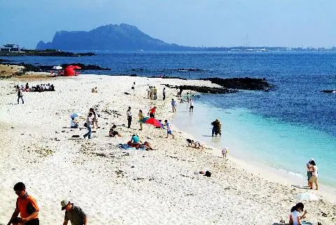 All About Udo <What to See, Do, and Eat on the Island off the Island> 대표이미지