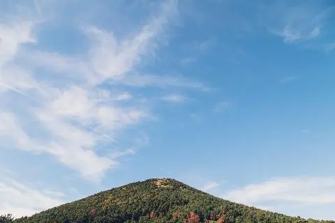 [방구석 제주여행] 제주를 동서로 가로지르며 오름 여행! 대표이미지