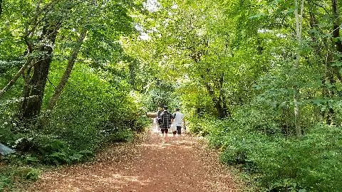 今まで見たことのないチェジュがみたい? <島の息吹、コッチャワル> 대표이미지