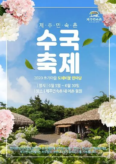 제주민속촌 수국축제 - 초가마을 도채비꽃 한마당