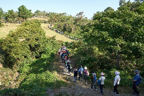 Walking, Food, and Culture on Jeju <Introduction to 2020 Jeju Olle Walking Festival> 대표이미지