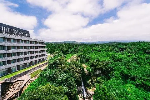 Finding Tranquility in Jeju’s Mountain Hotels 대표이미지