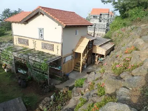 나미송 머무는 곳