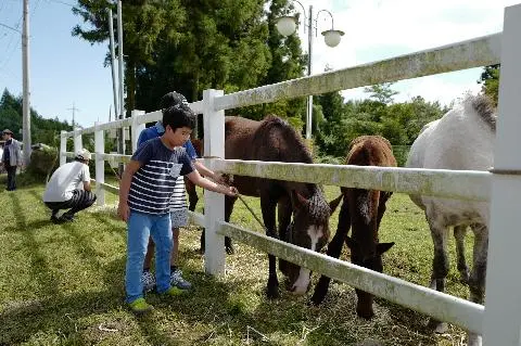 옷귀마테마타운 대표이미지
