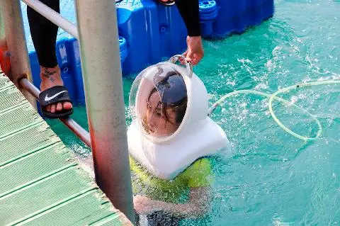 Jeju Ocean Leisure Park 대표이미지