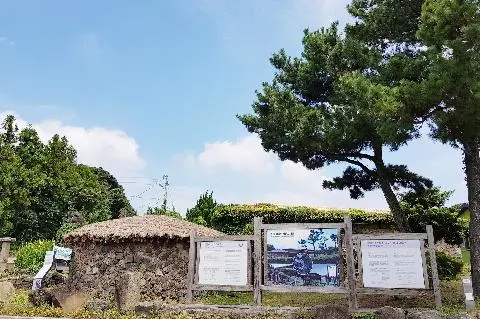 신풍리 밭담길 사진