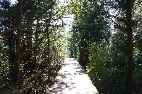 한국관광공사 '2020년 언택트관광지(여름편)'에 선정된<제주의 언택트관광지 10> 대표이미지