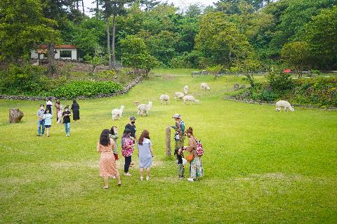 화조원 리뷰사진2