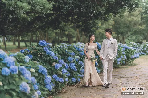 여름 제주 <웨딩 스팟 & 촬영 팁>  대표이미지