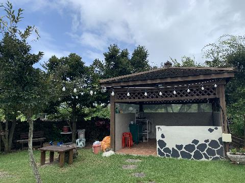 틸다하우스 리뷰사진3