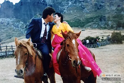  제주 웨딩 여행 <OLD & NEW>  대표이미지