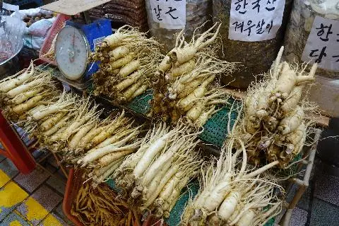 Jeju Dongmun Traditional Market