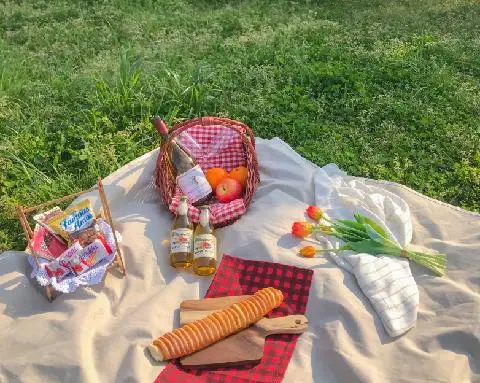 피크닉메이트 대표이미지