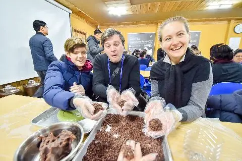 Memorable Museums and Indoor Experiences 대표이미지