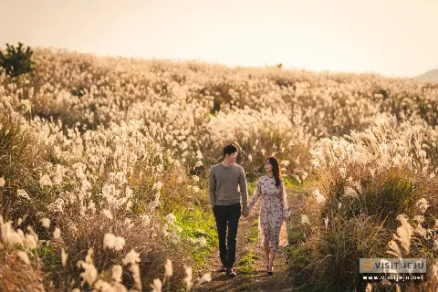가을 제주 〈웨딩 스팟 & 촬영 팁〉 대표이미지