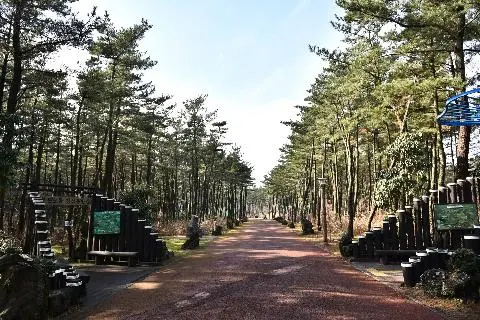 붉은오름 자연휴양림 리뷰사진2