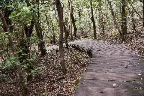 붉은오름 자연휴양림