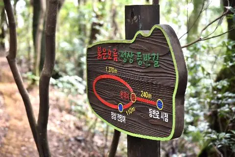 붉은오름(표선면)