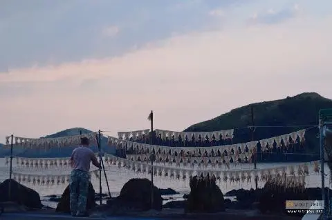 나홀로 떠나는 제주여행 <제주 서부 혼행 강추 POINT 5> 대표이미지