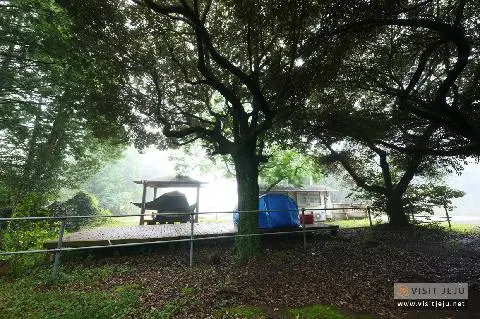 여름에 즐기는 캠핑부터 차박까지, <제주 캠핑 핫플레이스> 대표이미지