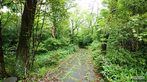 From Muobeopjeongsa Temple to Donnaeko Valley, <Walking along Dongbaek-gil Trail> 대표이미지