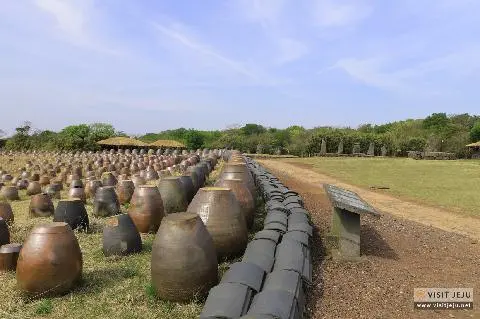 편한 효도여행은 제주로!<부모님과 함께 가기 좋은 추천 여행지 3선> 대표이미지